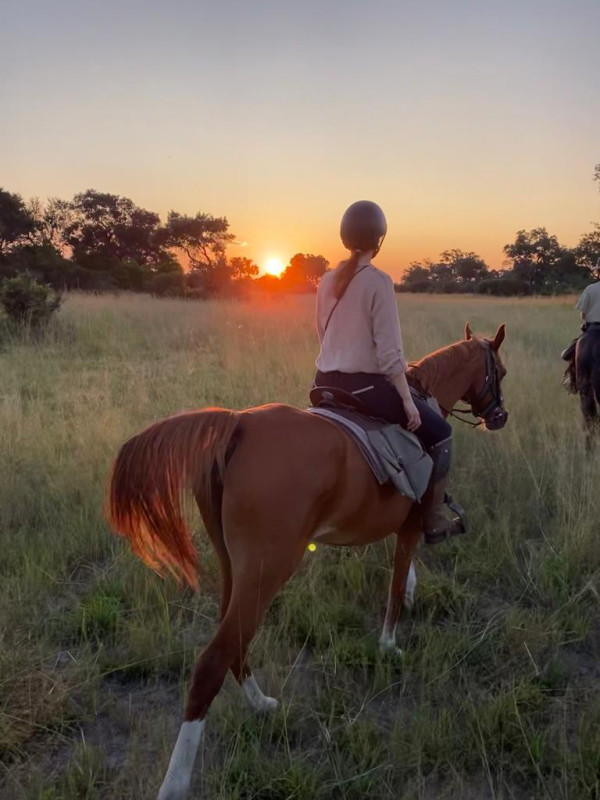 Avis de Christine - Voyage en Botswana