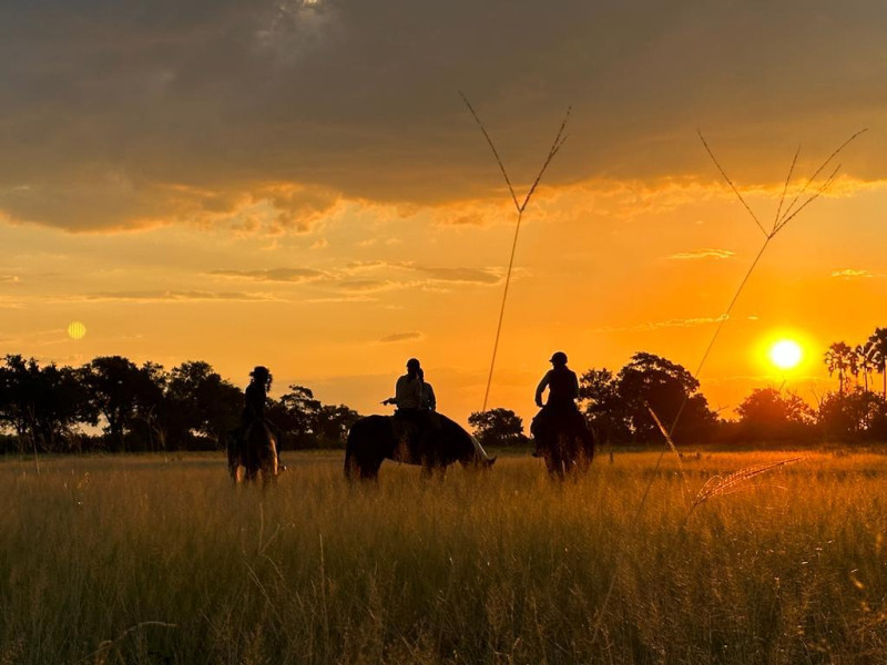 Avis de Charlotte - Voyage en Botswana