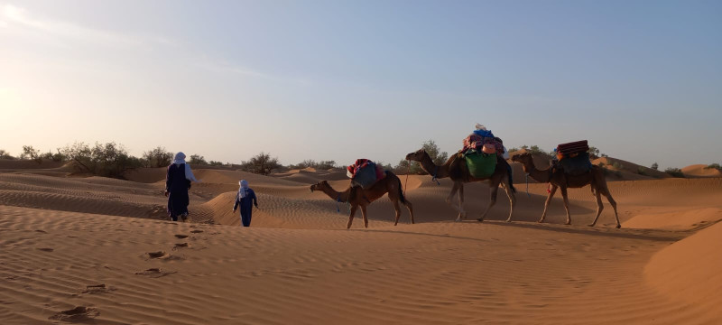 Avis de Laurette - Voyage en Maroc