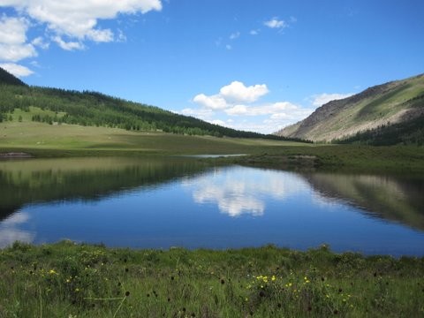 Avis de Véronique - Voyage en Mongolie