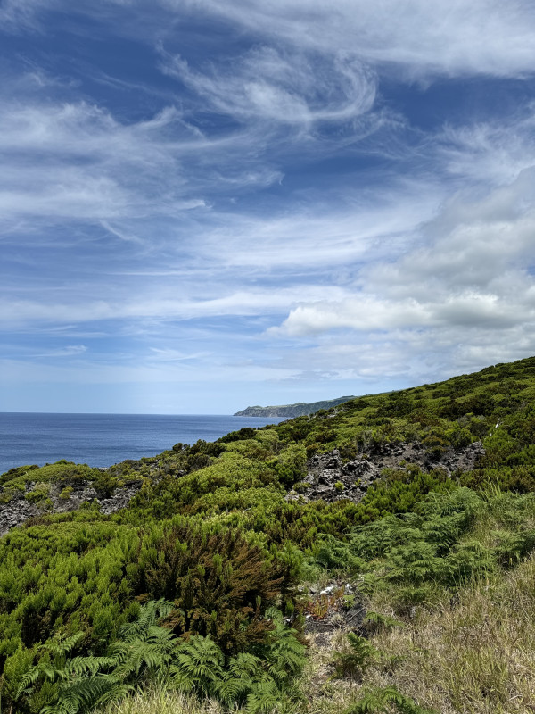 Avis de Marie - Voyage en Portugal Açores Madère