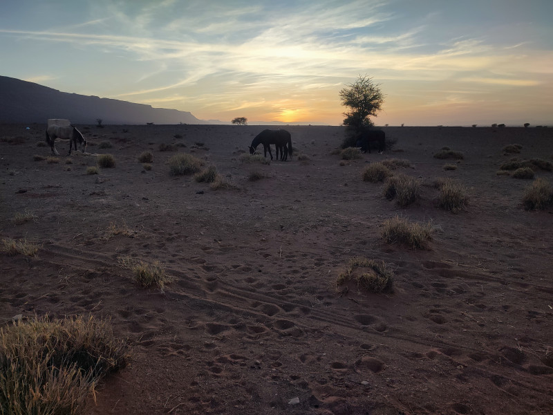 Avis de Marion - Voyage en Maroc