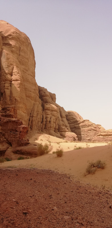 Avis de Elisabeth Stewart - Voyage en Jordanie