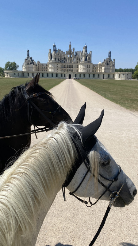 Avis de Mathy - Voyage en Centre – Val de Loire