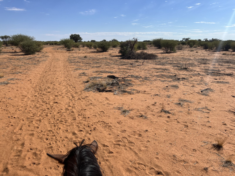 Avis de Clara - Voyage en Namibie