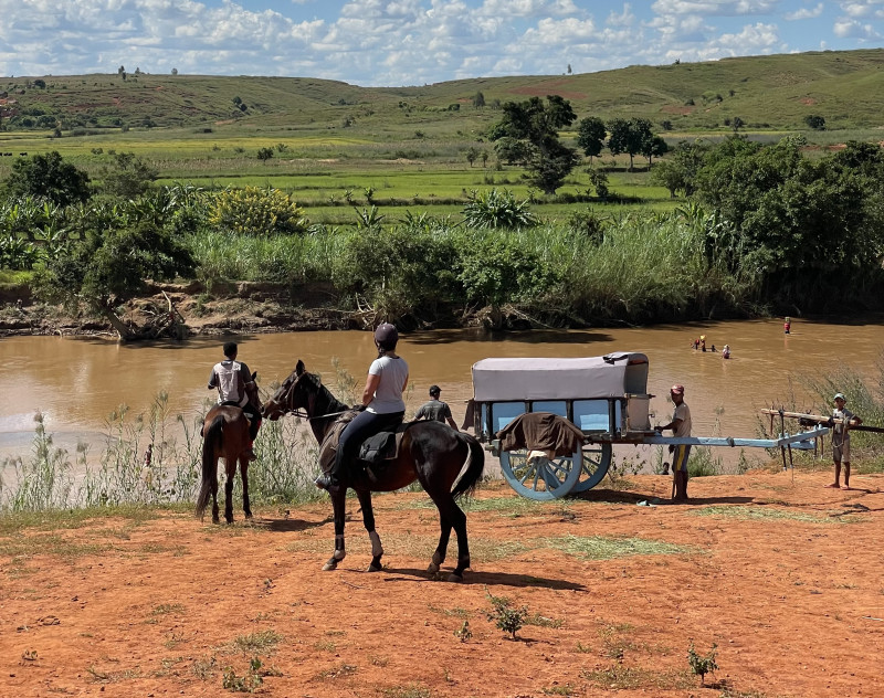 Avis de Marion - Voyage en Madagascar