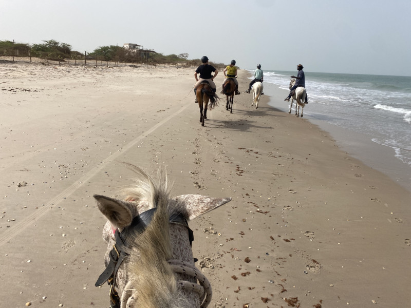 Avis de Sophie D - Voyage en Sénégal