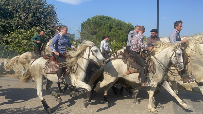 Avis de Adeline B - Voyage en Camargue - Languedoc