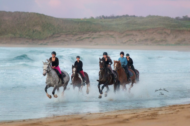 Avis de Claire A. - Voyage en Irlande