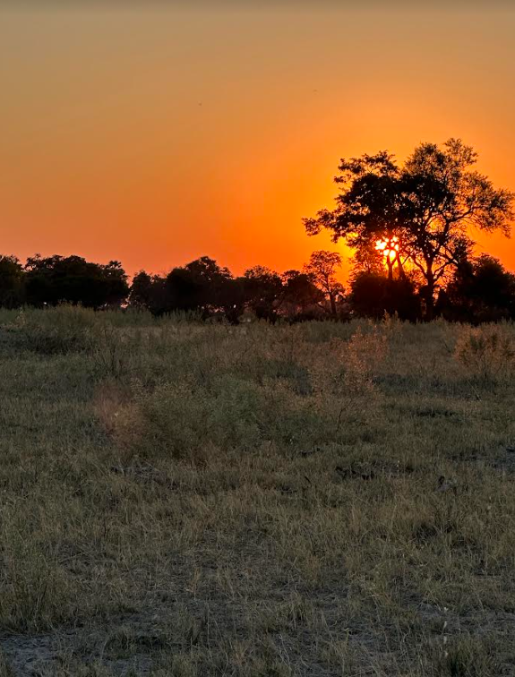 Avis de Anne - Voyage en Botswana