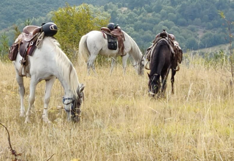 Avis de Charlotte - Voyage en Bulgarie