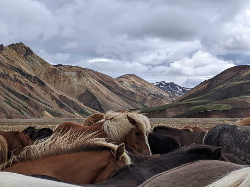 Avis de Lydia - Voyage en Islande