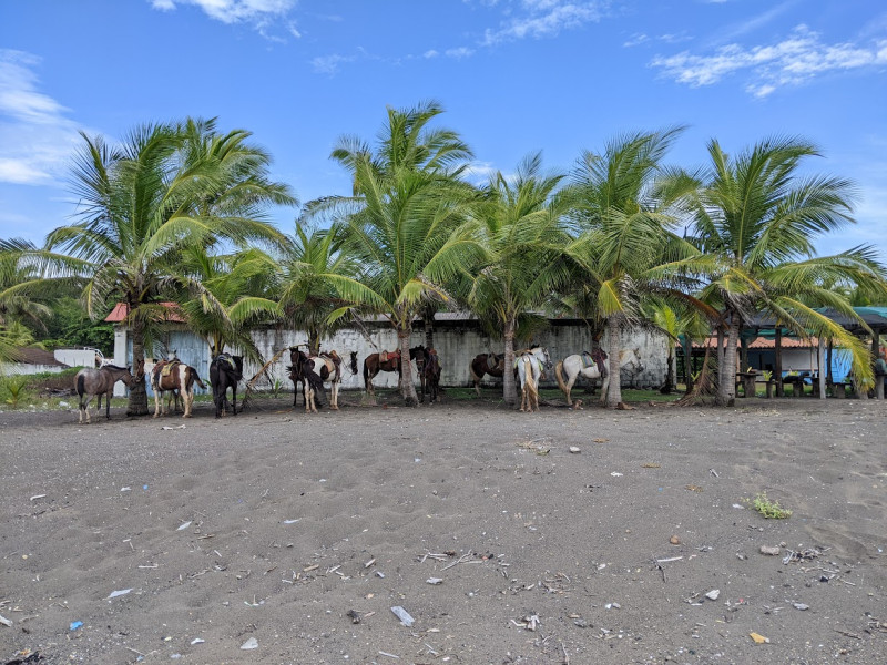 Avis de Lydia - Voyage en Costa Rica