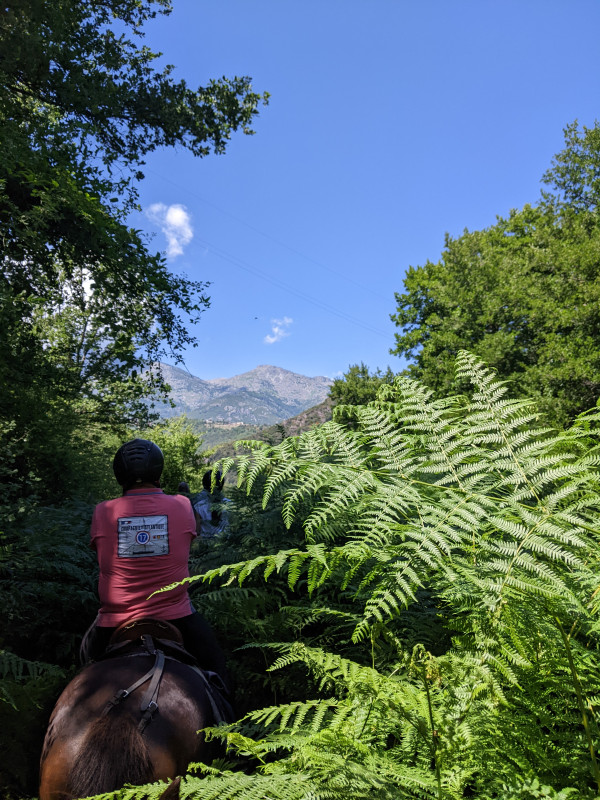 Avis de Lydia - Voyage en Corse