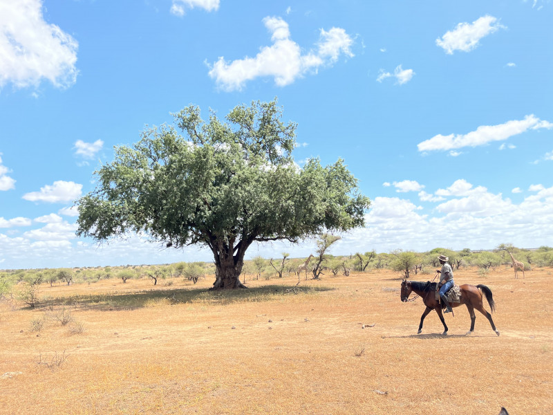 Avis de Helene L - Voyage en Botswana