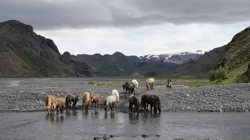 Avis de Mpaule - Voyage en Islande