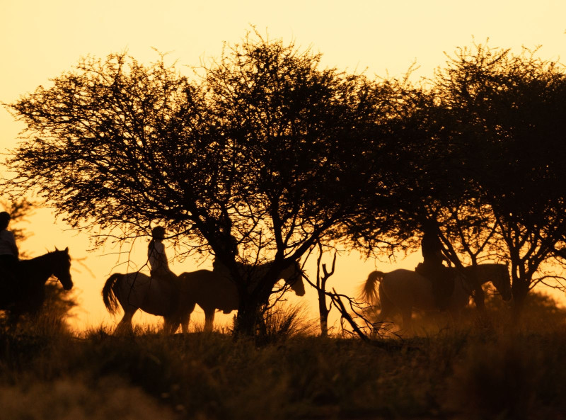 Avis de De Pardieu RUHMANN - Voyage en Namibie