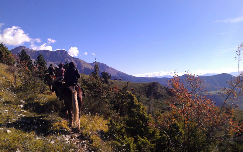 Avis de Anne - Voyage en Alpes