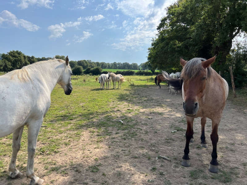 Avis de Yvonne - Voyage en Centre – Val de Loire