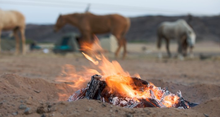 Avis de Pierre, Paris - Voyage en Namibie