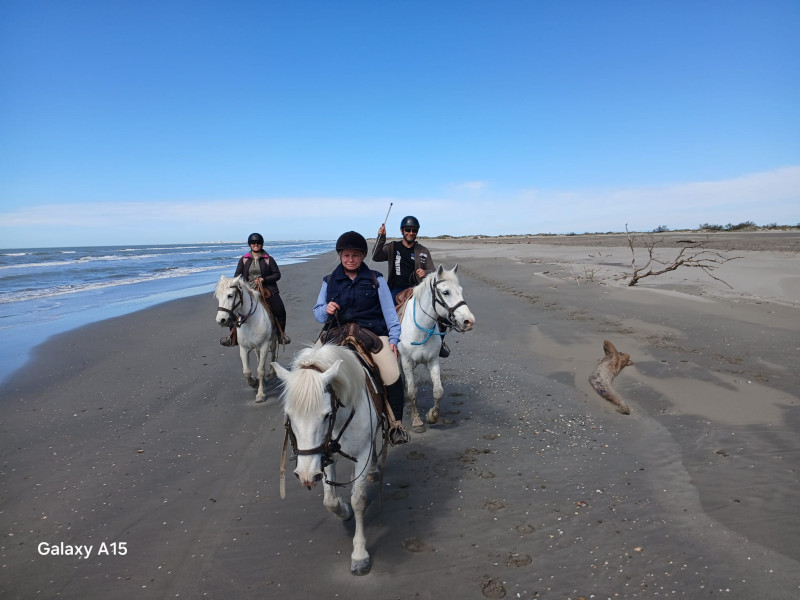 Avis de Mme Isabelle et Mr ludo - Voyage en Camargue - Languedoc