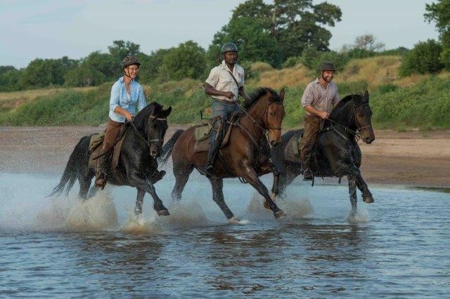 Avis de Sophie M. - Voyage en Botswana