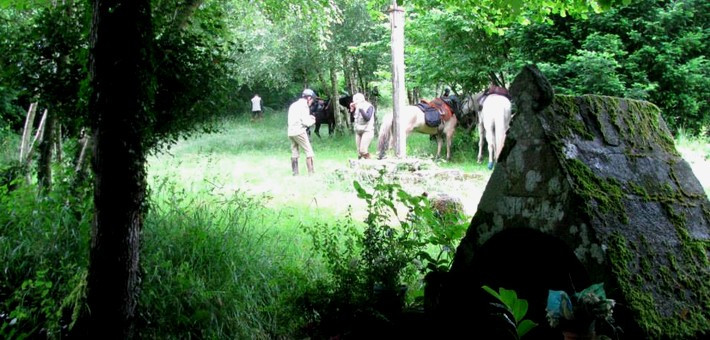 Randonnée à cheval en étoile au cœur des Montagnes Noires en Bretagne - Caval&go