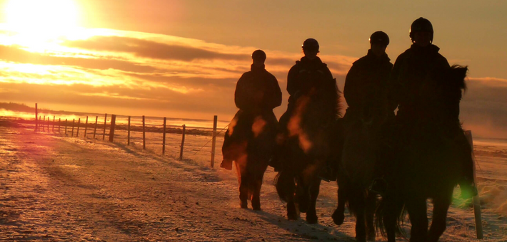 Randonnée équestre hivernale et séjour multi-activités en Islande - Caval&go