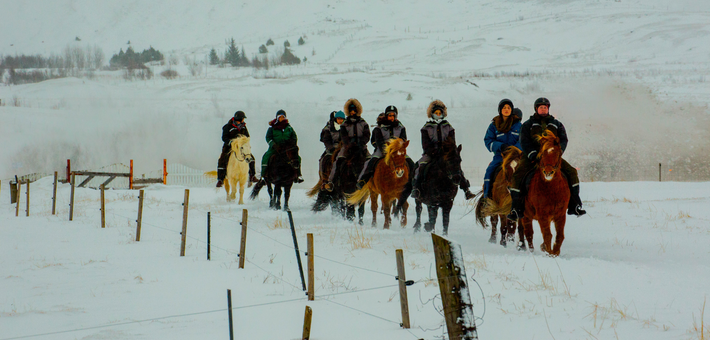 Randonnée équestre hivernale et séjour multi-activités en Islande - Caval&go