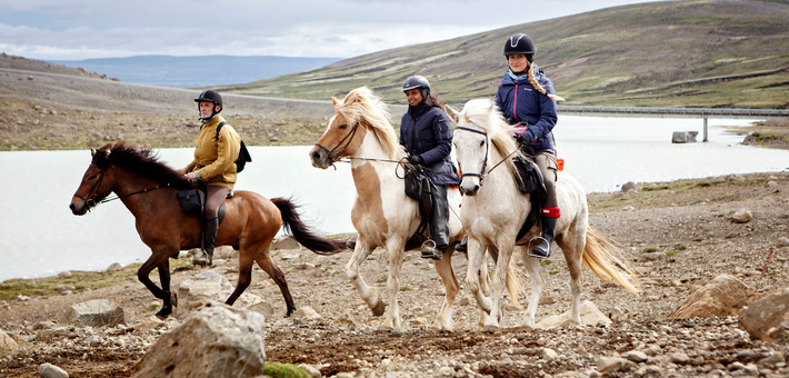 Randonnée équestre dans les terres sauvages de Kjölur, Islande - Caval&go