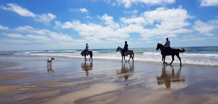 Randonnée équestre entre plages et palmeraies au Maroc - Caval&go