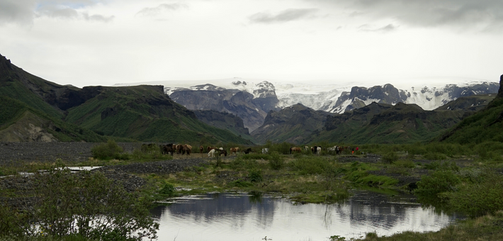 Randonnée équestre dans la vallée de Thórsmörk en Islande - Caval&go