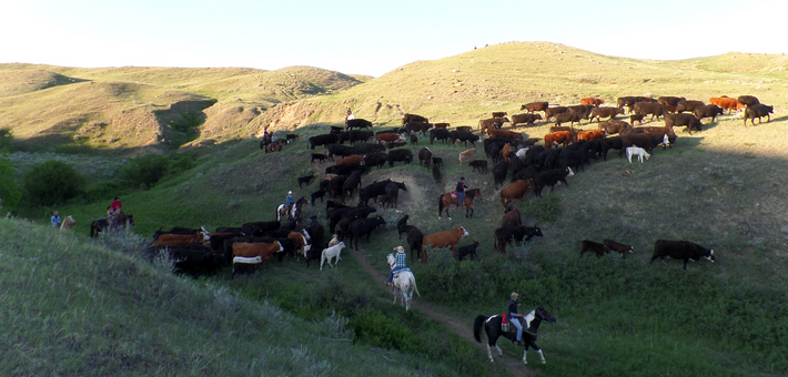 Séjour immersif en ranch dans le Saskatchewan, Canada - Caval&go