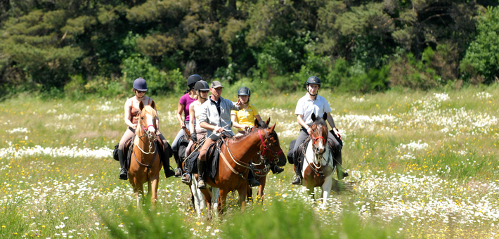 Randonnée à cheval, Monts, Lacs et plateaux ardéchois - Caval&go