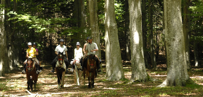 Randonnée à cheval, Monts, Lacs et plateaux ardéchois - Caval&go