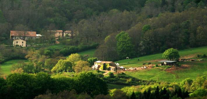 Séjour bien-être en Toscane entre cheval et yoga - Caval&go