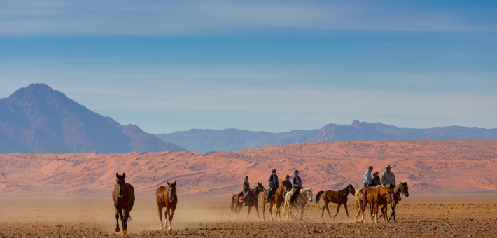 Randonnée équestre au cœur du désert Skeleton Coast en Namibie - Caval&go