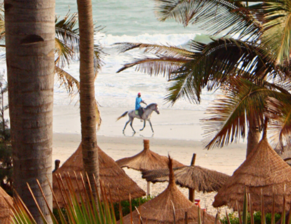 Safari à cheval dans le Sine Saloum au Sénégal