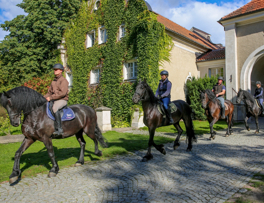 Séjour équestre de charme à la carte en Pologne