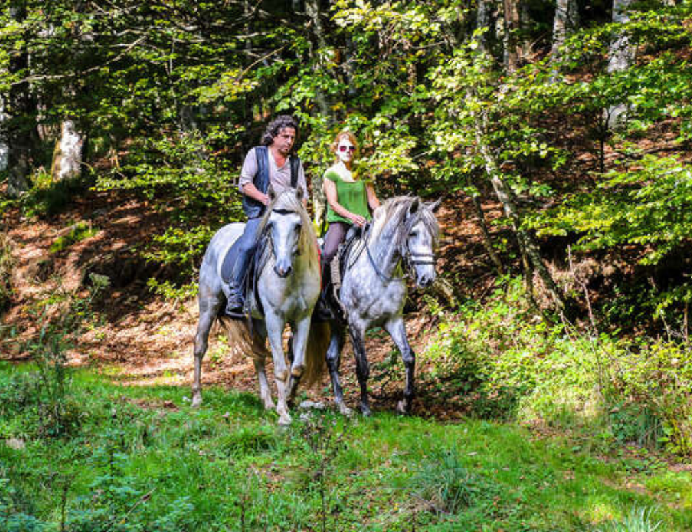 Randonnée à cheval à la découverte des montagnes alsaciennes et de leurs légendes