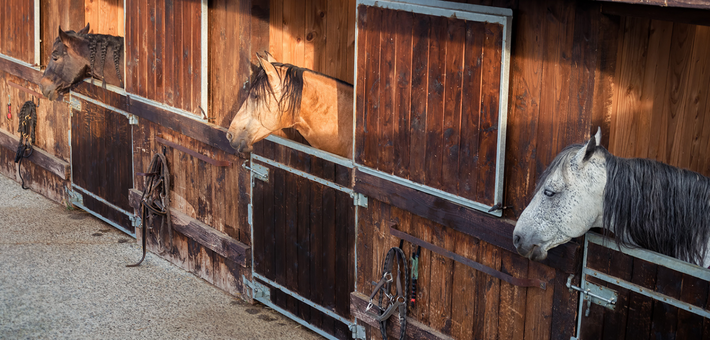 Equitation historique et maniement des armes à cheval en Mayenne - Caval&go