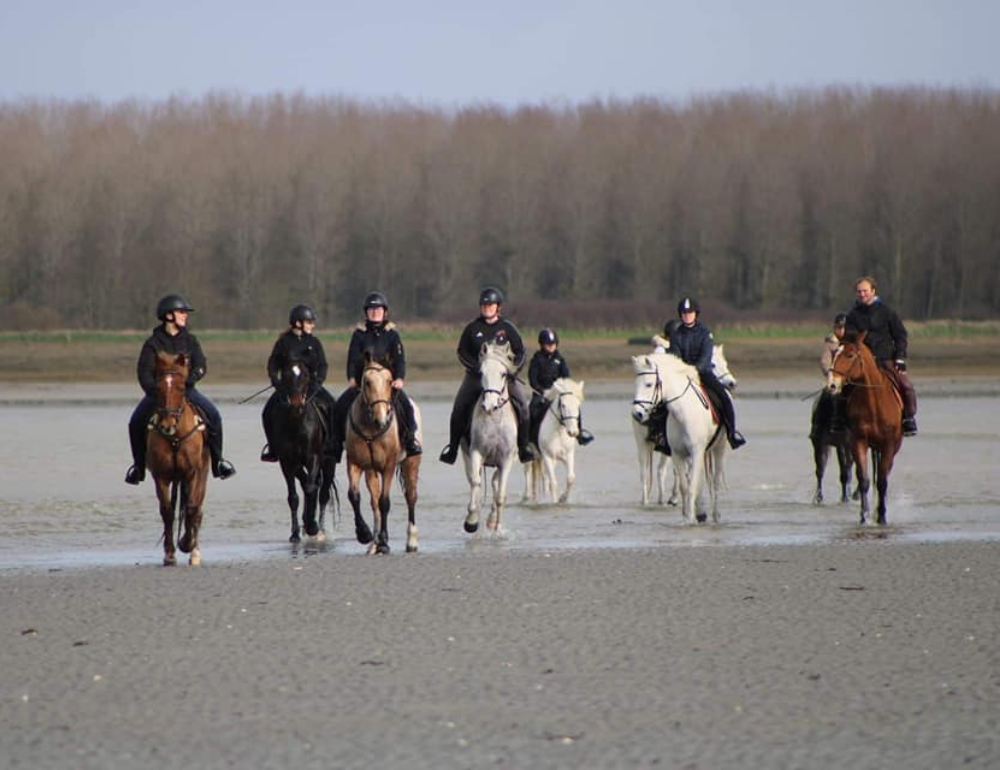 Séjour équestre au Mont-St-Michel pour les jeunes de 11/13 ans - 14/17 ans