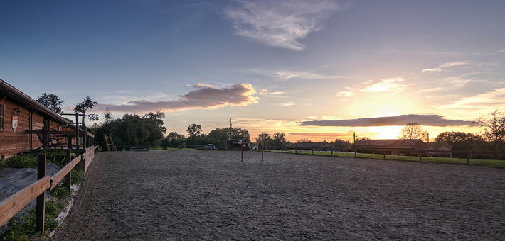 Stage privé de remise en confiance avec les chevaux en Mayenne - Caval&go