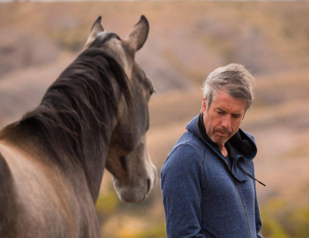 Stage avec Jean-François Pignon : Travail en liberté avec votre cheval