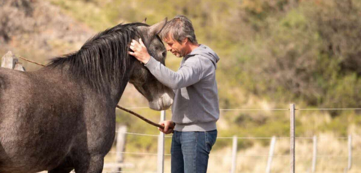 Stage avec Jean-François Pignon : Travail en liberté avec votre cheval - Caval&go