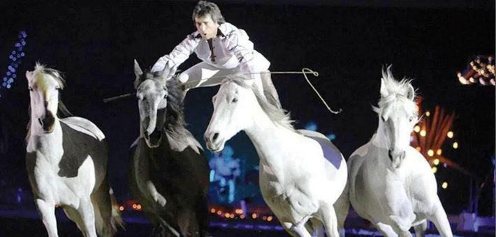 Stage avec Jean-François Pignon : Travail en liberté avec votre cheval - Caval&go