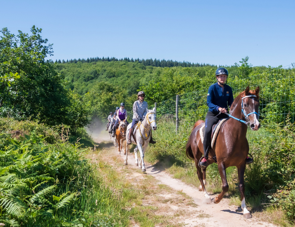 Week-end de charme et endurance équestre en forêt de Chantilly