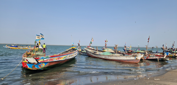 Randonnée à cheval itinérante au Sénégal dans la région du Sine Saloum - Caval&go