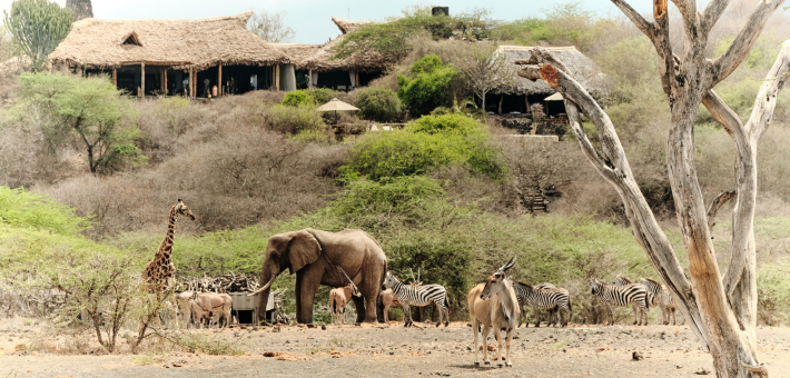 Safari équestre et multi activités en lodge de luxe au pied du Kilimandjaro - Caval&go