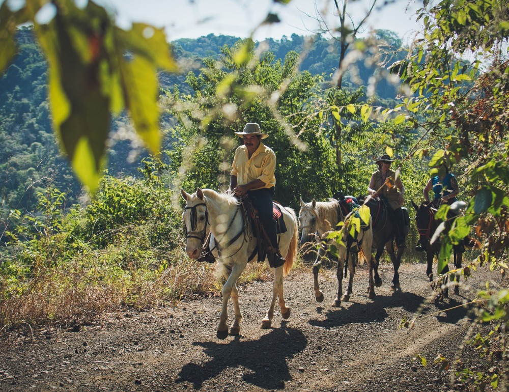 Eco Safari dans la nature sauvage et préservée de Costa Rica 